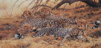 A Spot in the Shade. oil on linen 22 x 45,