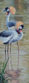 Crowned Crane Pair, oil on linen, 30 x 11, private collectio