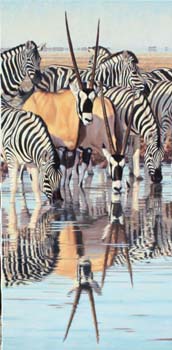Etosha Evening, oil on linen, 50 x 25, private collection, C