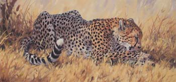 Fastidious, oil on linen, 17 x 36