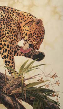 Leopard Orchid. oil on linen 43 x 25 s
