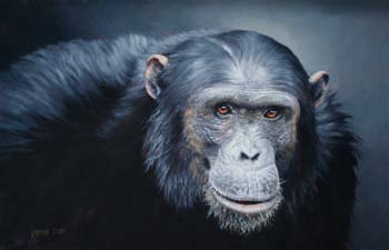Old Brown Eyes oil on linen, 16 x 24 private collection, Wyo
