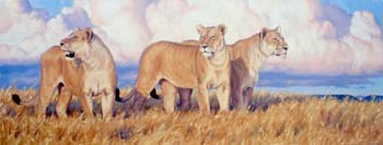 On the Prowl, oil on linen, 24 x 63,