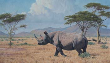 Patrol, Balck Rhino, oil on linen 35 x 60