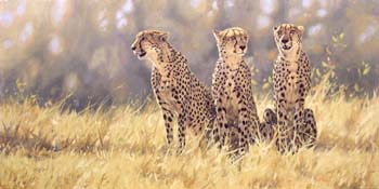 The Savuti Brothers, Lindsay 28 x 56 oil on linen, private c
