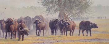 The Scent of a Lion, oil on linen 28 x 69