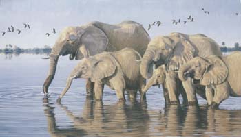 Xigera lagoon, oil on linen, 35 x 60,