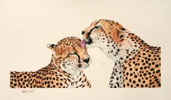 Brotherly Bonding, colored pencil, 13 x 22.5, private collec