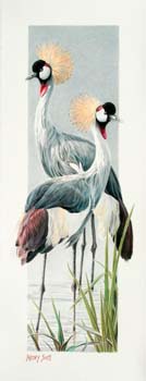 Crowned Cranes, colored pencil, 20.5 x 8