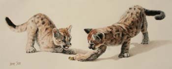 It's Mine, colored pencil,   10 x 25,