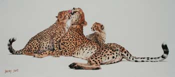 Quality Time, colored pencil, 11 x 25.5