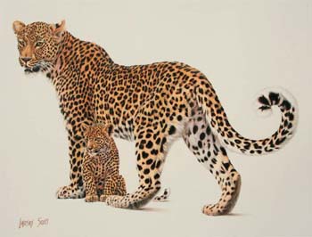The Protector, 14 x 18 colored pencil