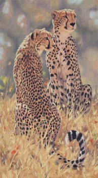Cheetah Brothers, oil on linen 30 x 17
