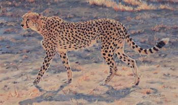Lone Patrol oil on linen  12 x 20