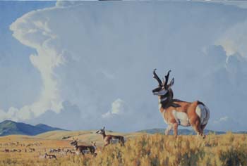 Big Sky, oil on canvas 40 x 60