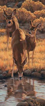 Down by the Pond, oil on linen, 16.5 x 6.5