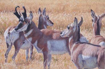 In the Midst of the Herd, oil on linen 9 x 14