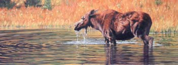 Ripples on the Water oil on linen 12 x 32