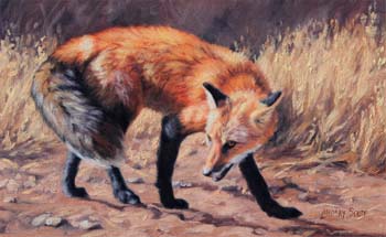 The Tracker, oil on linen, 8 x 13
