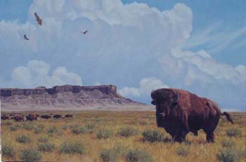 Timeless Land oil on linen 40 x 60