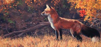 Who Goes There, oil on linen, 15 x 32
