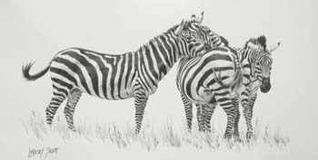 Buddies, pencil, 9 x 18, private collection