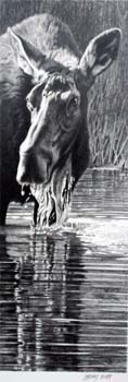Down on the Pond, pencil 17 x 6, private collection