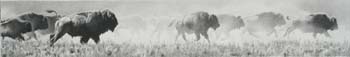 Thundering By, pencil, 4.5  x 27, private collection
