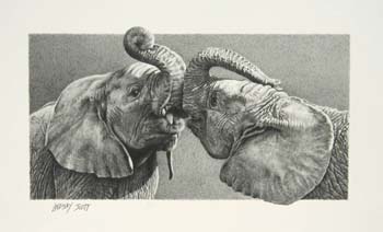 When Push Comes to Shove, pencil 11 x 15