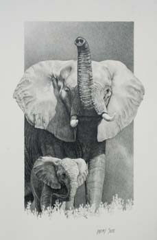 Who Goes There. pencil 19.5 x 13