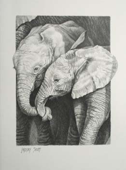 Young Friends, pencil 12 x 9 s