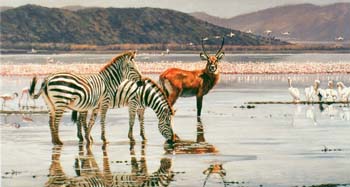 Nakuru's Shore