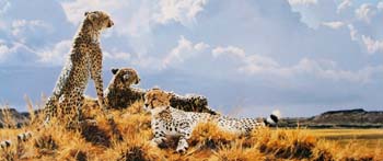 North of Serengeti
