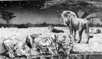 Original Lithograph In the Still of the Night