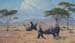 Patrol, Balck Rhino, oil on linen 35 x 60