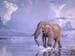 Shore Patrol, oil on linen, 40 x 52.  National Museum of Wil