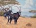 Bushveld Wanderers, oil on linen 20 x 24