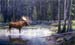 Secluded  Pond, oil on linen, 37 x 60, private collection, C