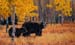 The Edge of the Woods, oil on linen, 24 x 39, Private collec