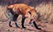The Tracker, oil on linen, 8 x 13