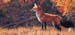 Who Goes There, oil on linen, 15 x 32