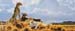 North of Serengeti