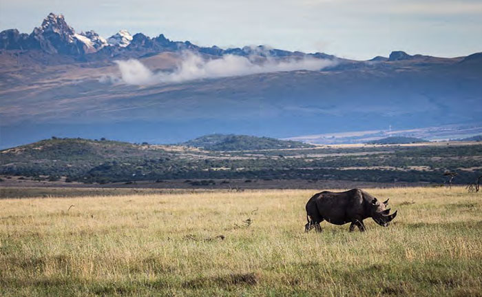 Photographic safaris to Africa, led by Lindsay Scott and Brian McPhun